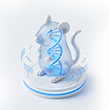 GEM Models